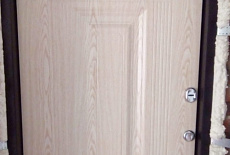 Торэкс, модель Snegir 45 MP