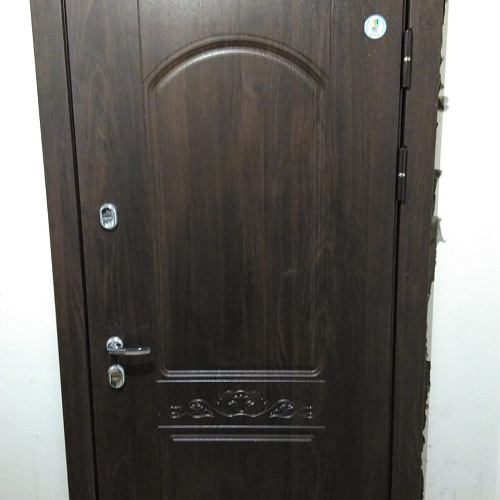 Торэкс, модель Snegir 60 PP